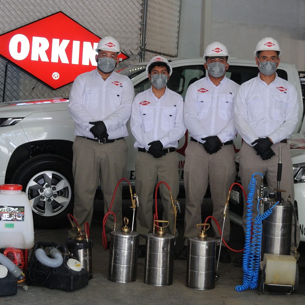 Técnicos certificados de Orkin con equipo de control de plagas en su base de Monterrey
